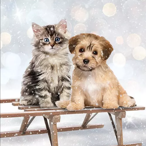 1 serviette en papier chien et chat a la neige - ref 2414