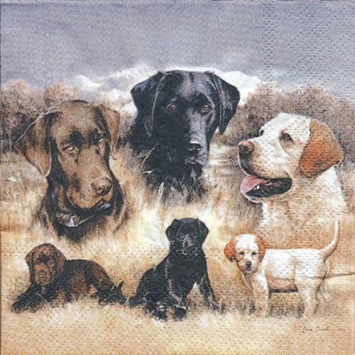 1 serviette en papier chien - labrador - 25 x 25 cm - pm59