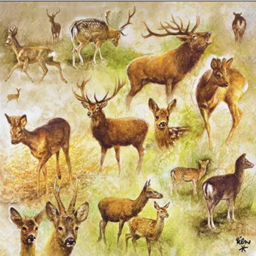 1 serviette en papier cerfs - chevreuils - ref 2552