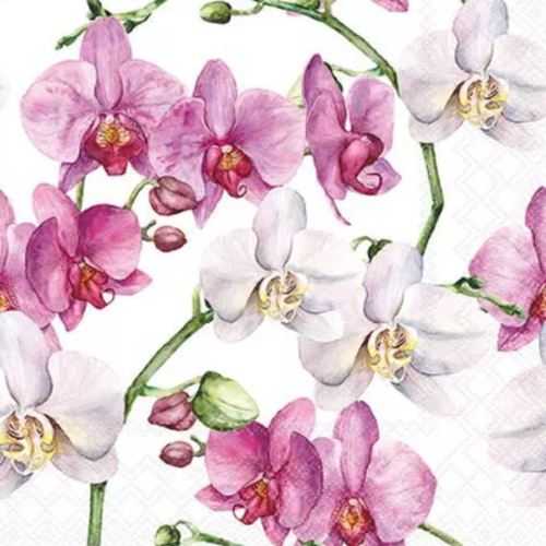 1 serviette en papier fleurs - orchidee - ref 2620