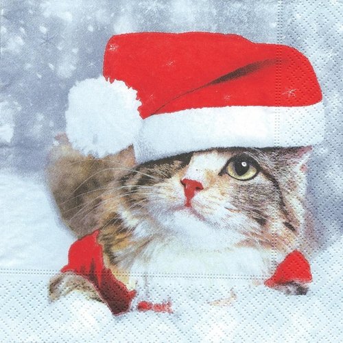 1 serviette en papier chat noel - ref 2630