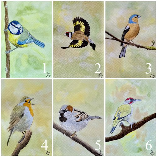Petites aquarelles originales série oiseaux