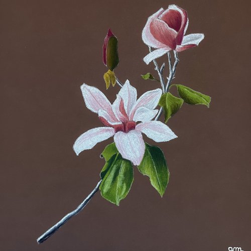 Cours de peinture (pastel sec) magnolia