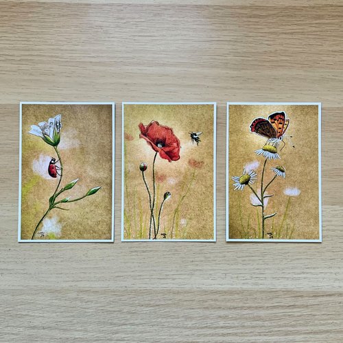 Lot de 3 cartes 10x15cm