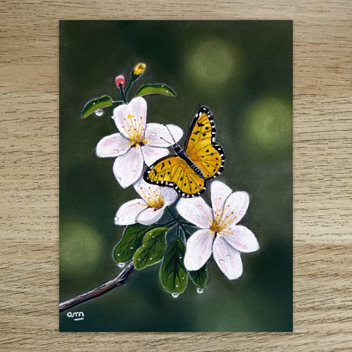 Pastel sec original papillon