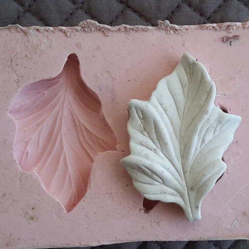 Moule de feuille