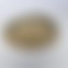 Bracelet homme - coquille st jacques