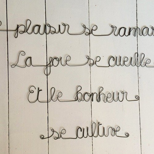 Citation Ecriture En Fil De Fer Le Plaisir Se Ramasse