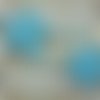 Barrettes fleurs turquoise.