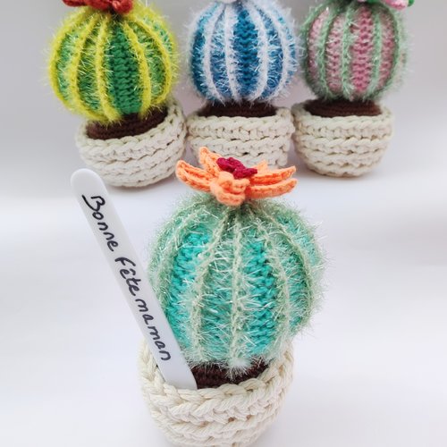 Petit cactus artificiel tout doux