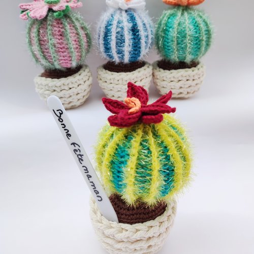 Petit cactus artificiel décoratif à offrir