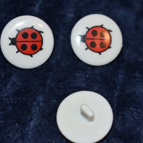 3 boutons  coccinelle couture mercerie scrapbooking