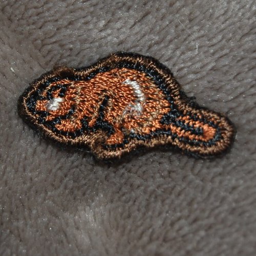 Patch mini marmotte thermocollant coutures