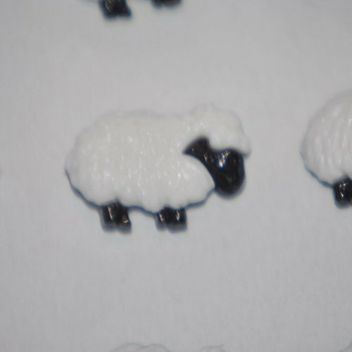 2 bouton  mouton  couture mercerie scrapbooking