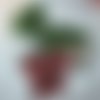 Guy pure applique, fraise 21x 14,5