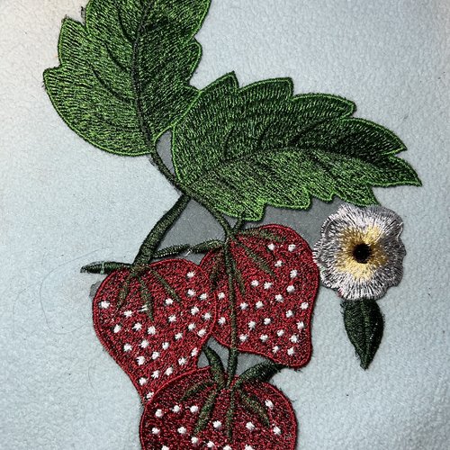 Guy pure applique, fraise 21x 14,5