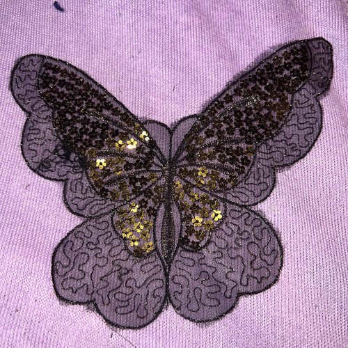 Guipure applique, papillon, paillettes