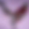 Guipure dentelle, fleurs