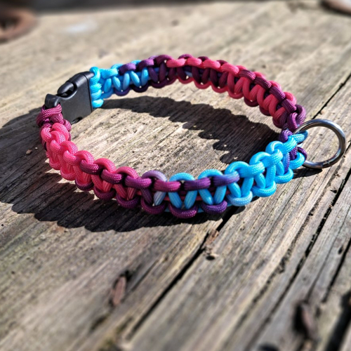 Collier pour chien de 31 à 40 cms de tour de cou