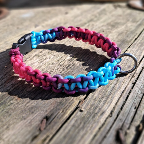 Collier pour chien de 41 à 50 cms de tour de cou