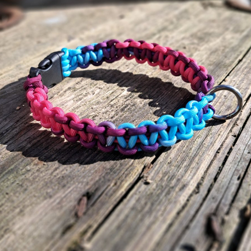 Collier pour chien de 51 à 60 cms de tour de cou