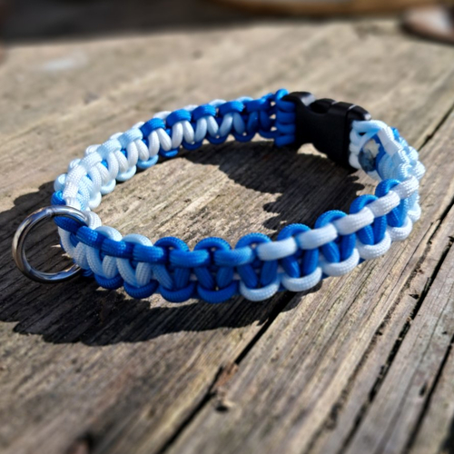 Collier pour chien de 20 à 30 cms de tour de cou