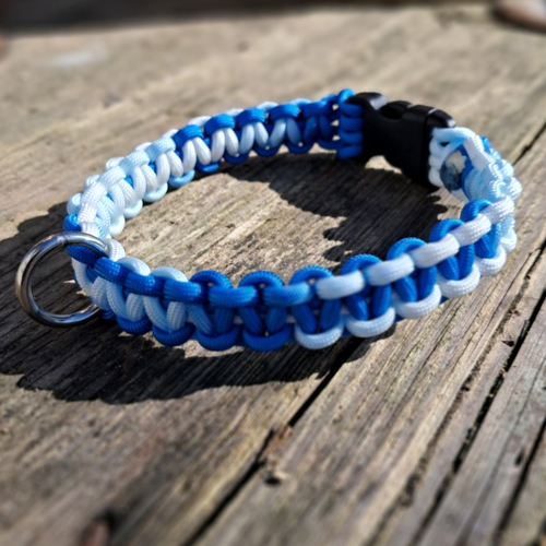 Collier pour chien de 51 à 60 cms de tour de cou