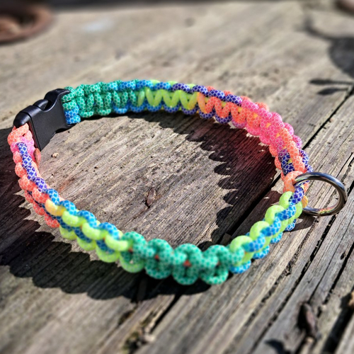 Collier pour chien de 20 à 30 cms de tour de cou