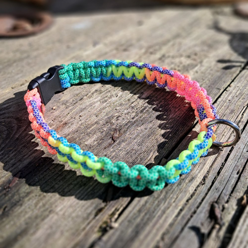 Collier pour chien de 41 à 50 cms de tour de cou