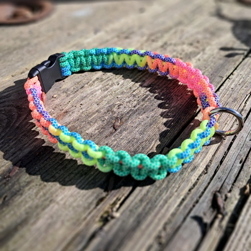 Collier pour chien de 51 à 60 cms de tour de cou