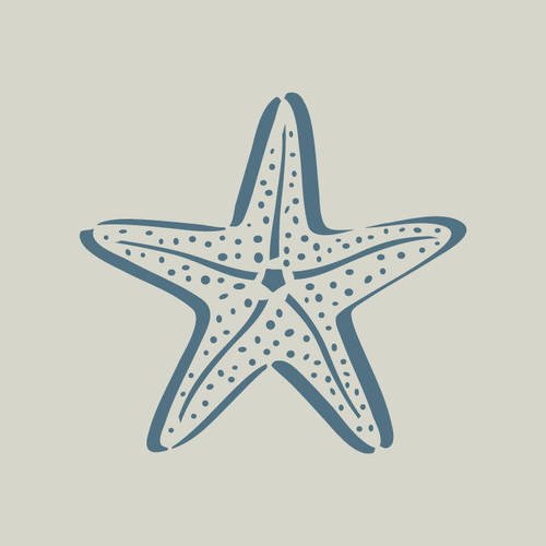 Etoile de mer. pochoir étoile de mer. pochoir en vinyle adhésif. (ref 283) 