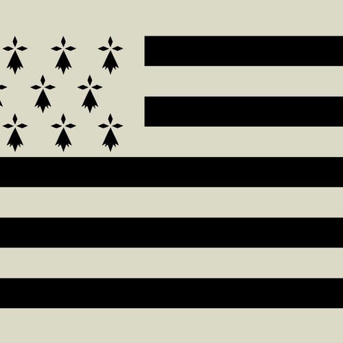 Pochoir en vinyle adhésif. drapeau breton. gwenn ha du (ref 122) 
