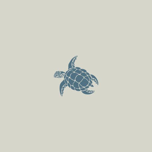 Pochoir tortue. dessin tortue. pochoir en vinyle adhésif (ref 281-4) 