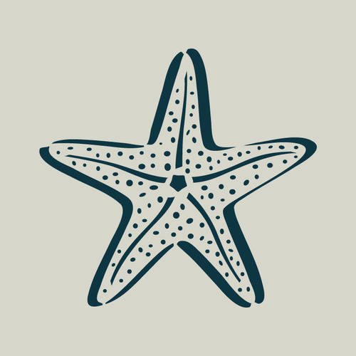 Etoile de mer. pochoir étoile de mer. pochoir en vinyle adhésif. (ref 283-2) 