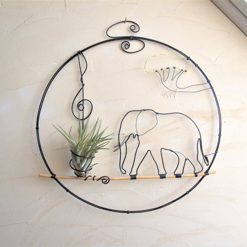 Tillandsia⚓ décoration éléphant ⚓ cadre végétal ⚓ déco éléphant cadeau original