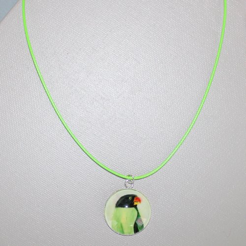 Pendentif perruche à tête noire cordon vert