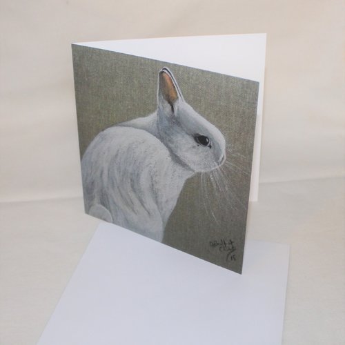 Carte de voeux lapin blanc
