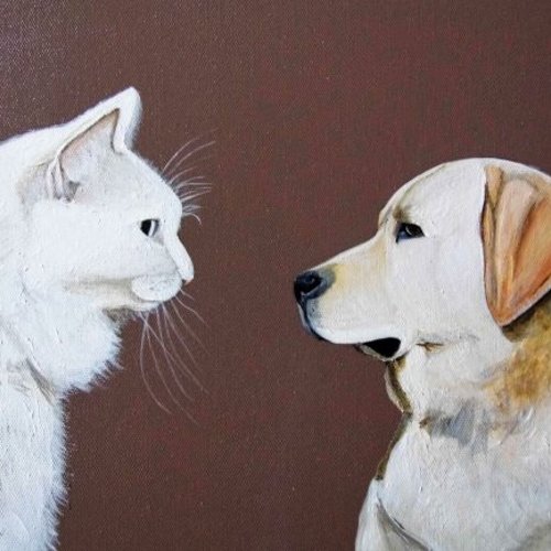 Chien et chat face à face