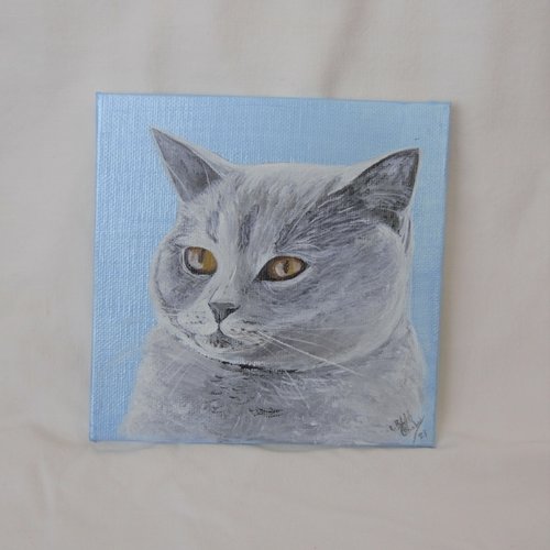 Portrait chat gris