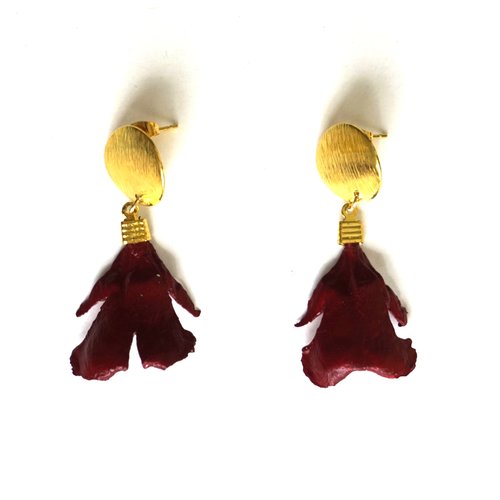 Boucles d'oreilles percées cabochon doré et pétales de cèdre rouge hermès
