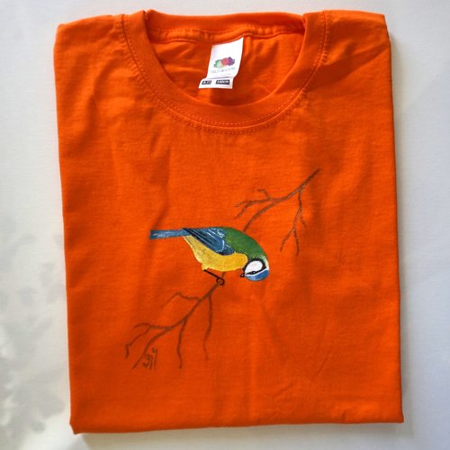 Tee shirt enfant orange mésange peinte à la main 9 / 11 ans