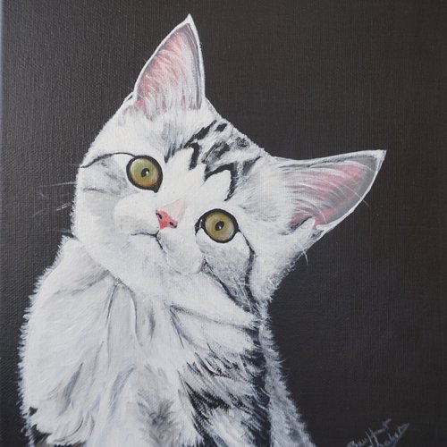 Toile  " chat blanc et tigré " sur fond noir