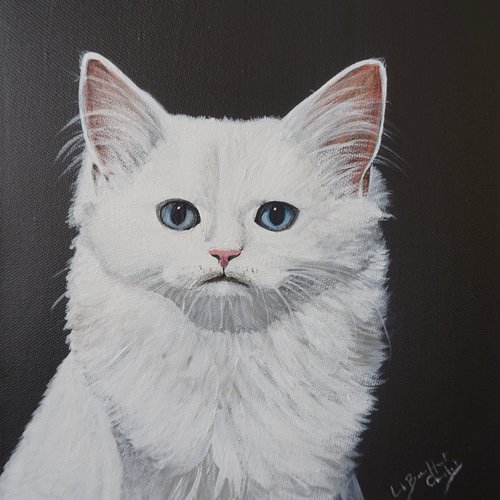 Toile  " chat blanc " sur fond noir