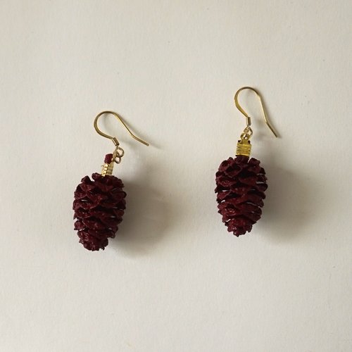 Boucles d'oreilles crochet et fruits d'aulne rouge