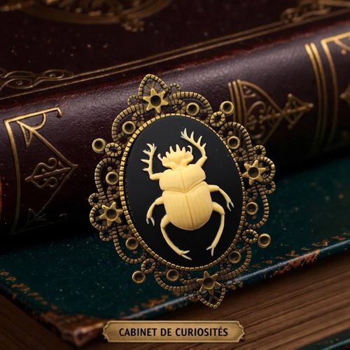 Broche talisman symbolique insecte - camée scarabée- univers cabinet de curiosités.