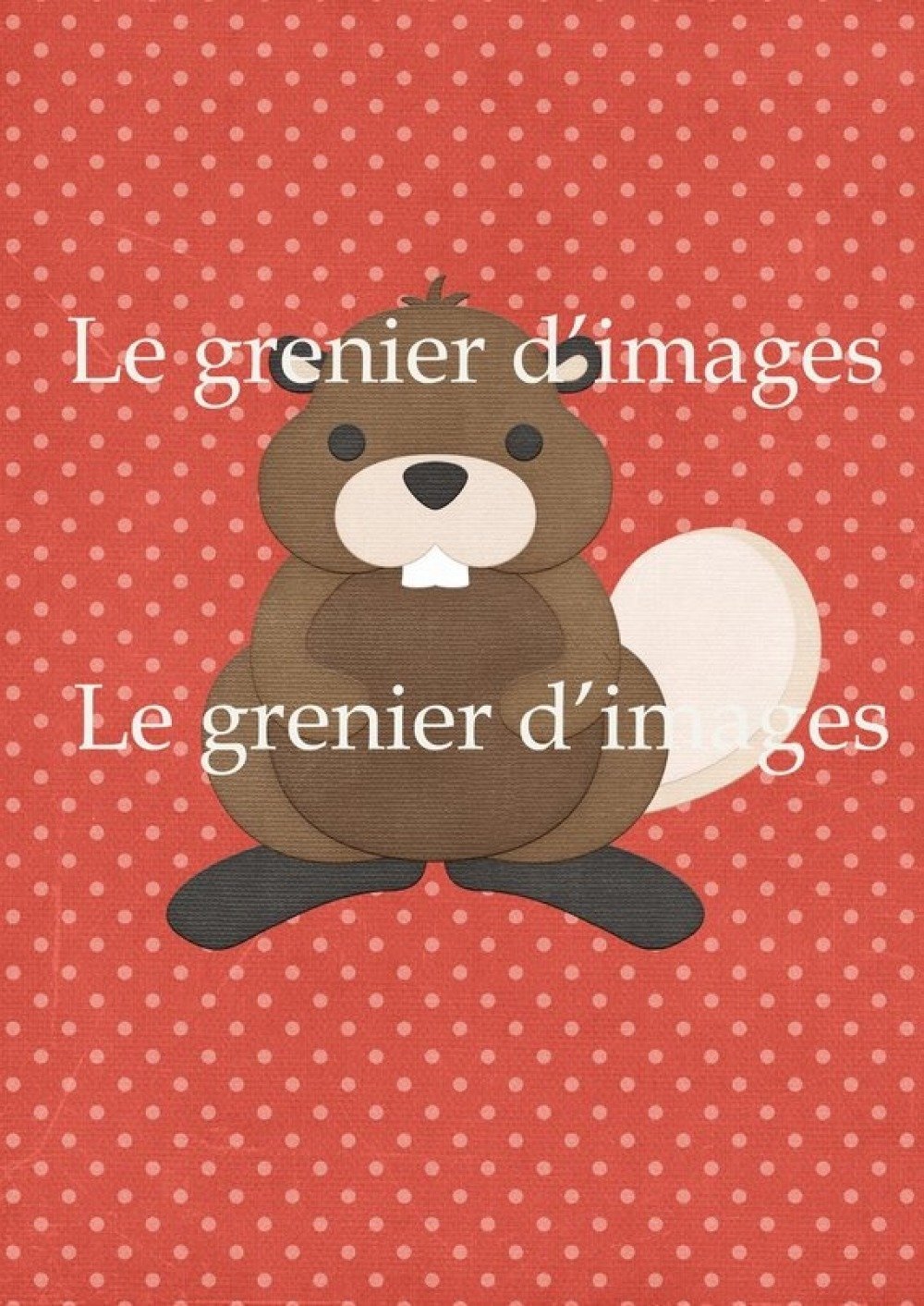 Affiches poster  animaux  de la for t  imprimer  d coration 