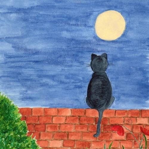Carte postale - chat au clair de lune 