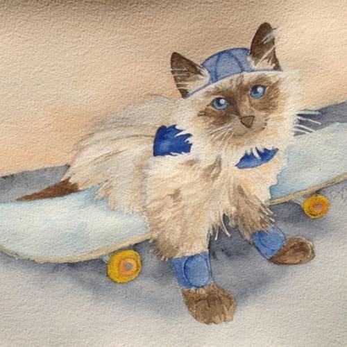 Carte postale - chat - jacob le chat skateur 