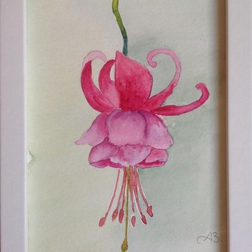 Aquarelle originale - fleur de fushia rose 