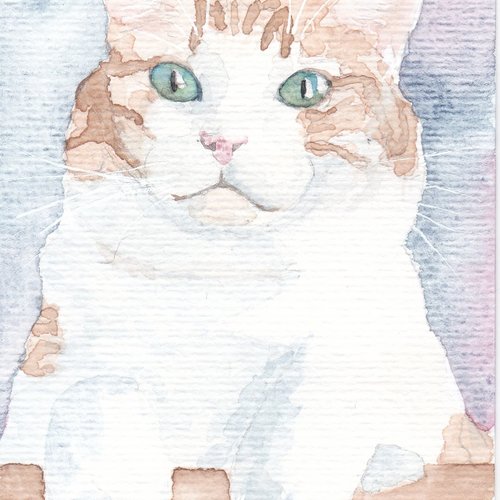Carte postale aquarelle modèle unique chat patapouf